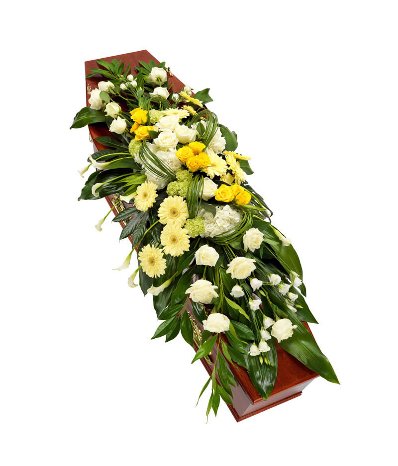 Dessus_Cercueil_Vert&Jaune_ajdp